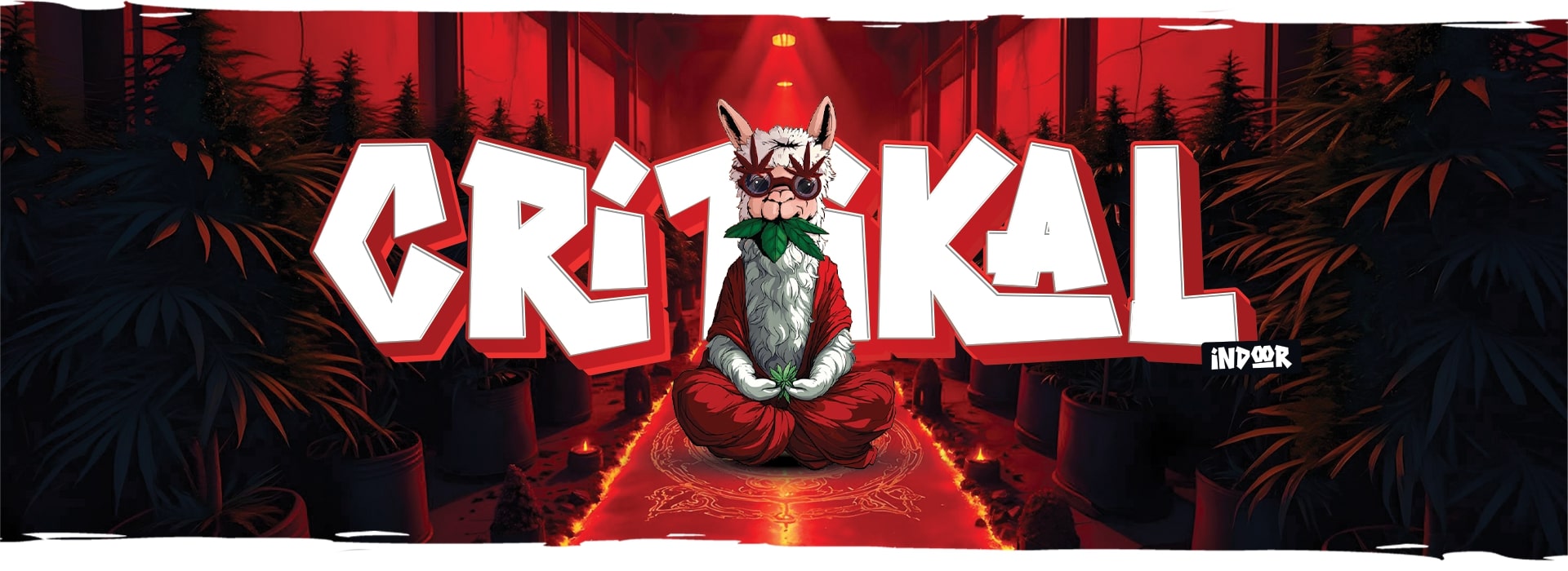 Cover Desktop