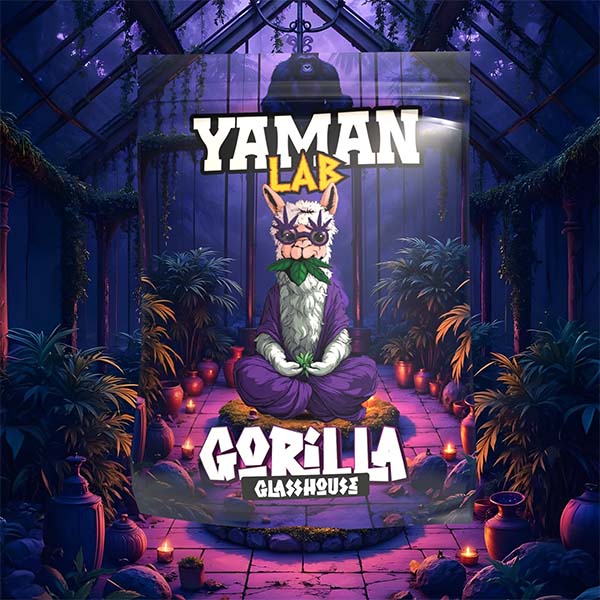 GORILLA