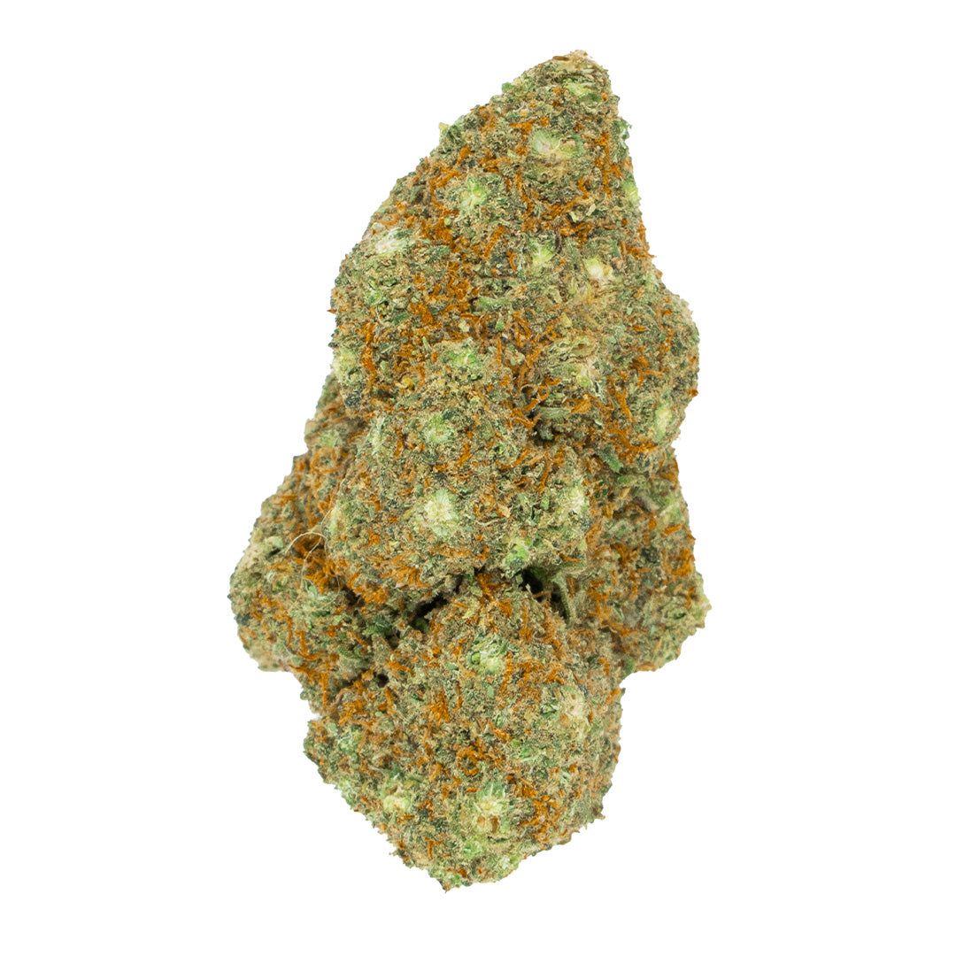 GELATO