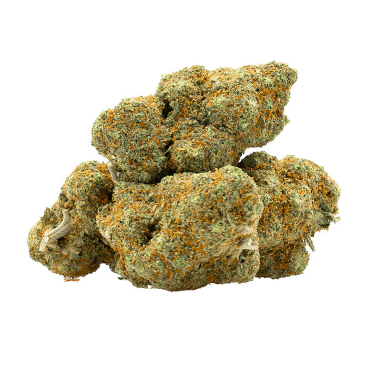 GELATO