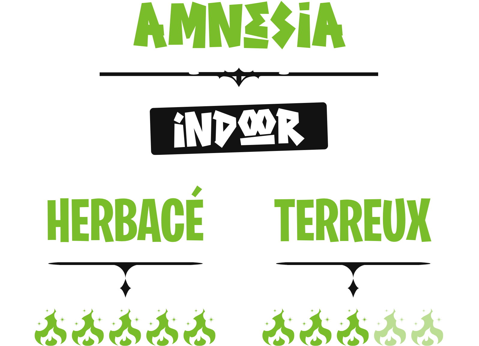AMNESIA