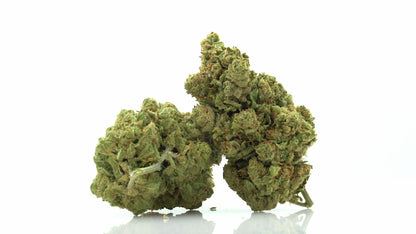 AMNESIA